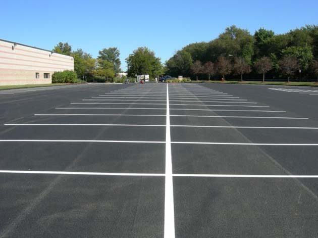 Long rows of white bay lines on an empty asphalt car park beside trees
