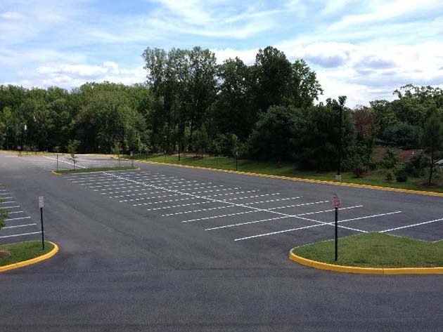 White parking bays on an asphalt car park edged by a yellow painted kerb and trees